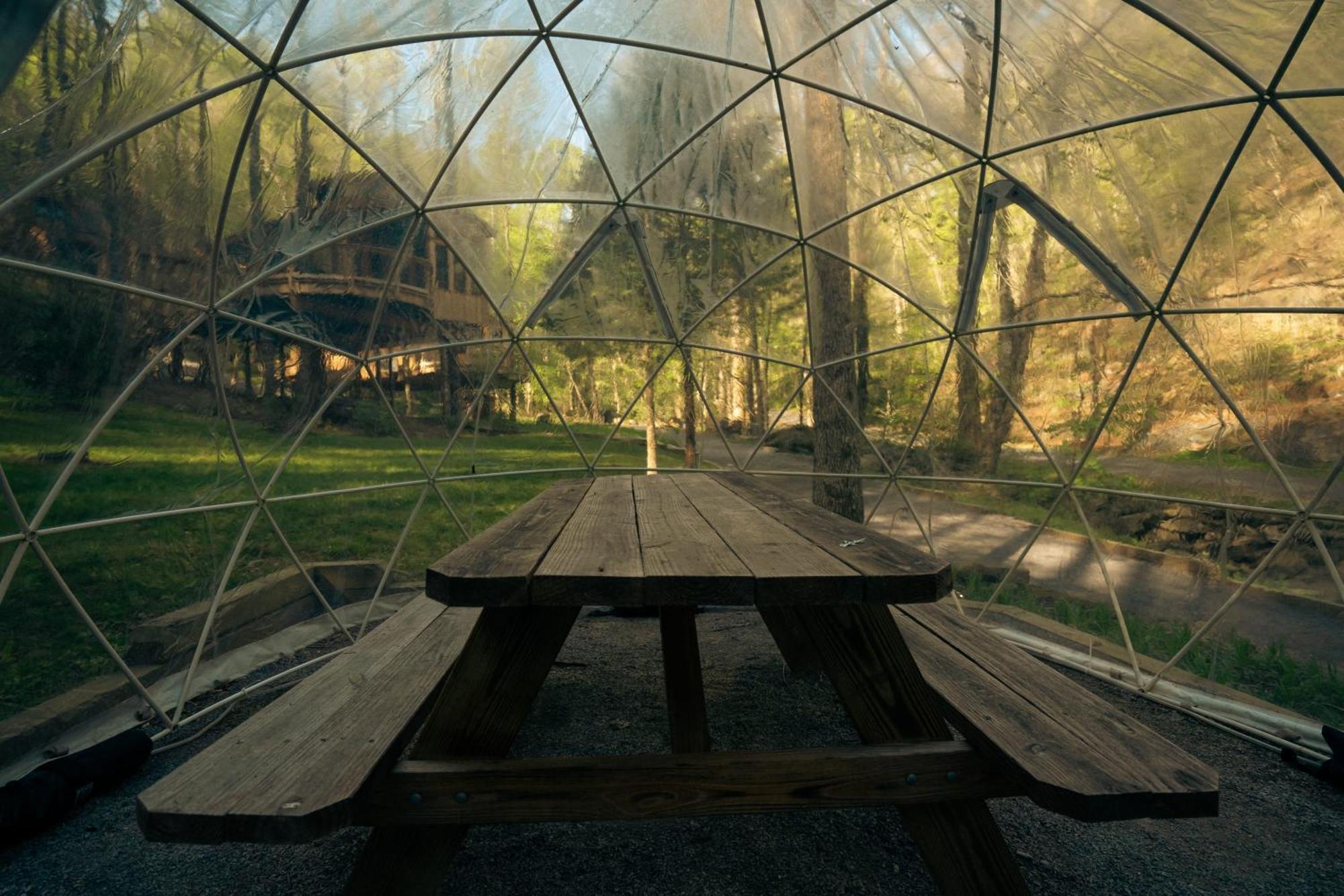 The Magnolia In Treehouse Grove At Norton Creek Villa Gatlinburg Exterior photo